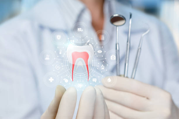 Best Preventive Dentistry  in Bellevue, WA